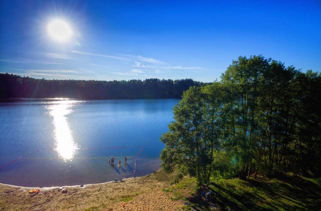 Ekologiczne rozwiązania w Leśnej Oazie.